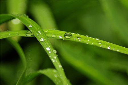 网站优化款项-亿动网