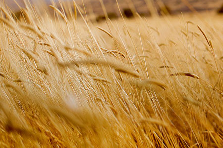 测试商品-亿动网