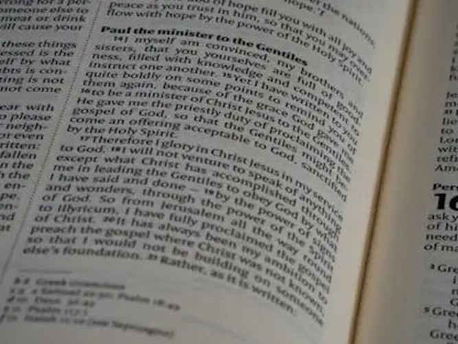 PT新手完全指南:搞懂保种/辅种/魔力,玩转 qb + tr + IYUU 自动化神操作!