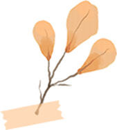 PT新手完全指南:搞懂保种/辅种/魔力,玩转 qb + tr + IYUU 自动化神操作!