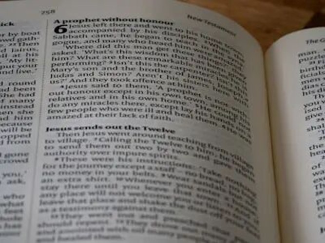 PT新手完全指南:搞懂保种/辅种/魔力,玩转 qb + tr + IYUU 自动化神操作!