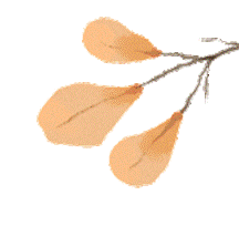 PT新手完全指南:搞懂保种/辅种/魔力,玩转 qb + tr + IYUU 自动化神操作!