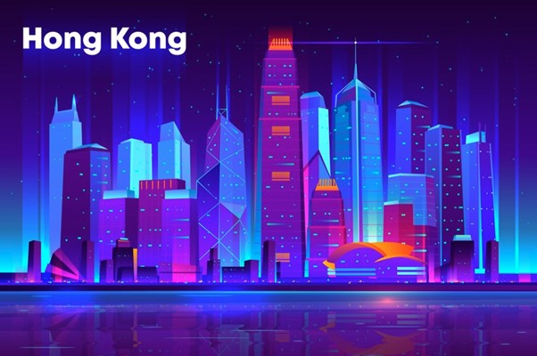 网络自由与隐私保护的关键要素