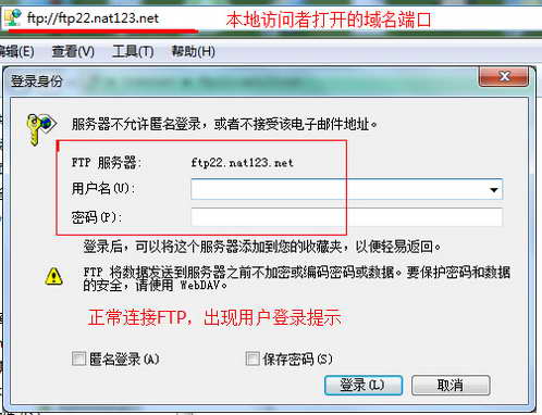 FTP访问全攻略:从软件选择到网络设置的全面指南-亿动网