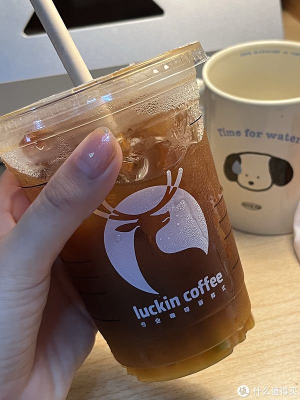美橙怎么样？全面解析其优势与不足，助您做出明智选择-亿动网