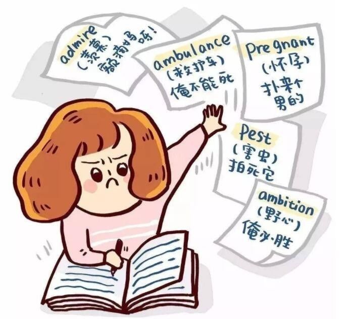 如何高效利用租用服务器？全面解读服务器租用的使用策略-亿动网