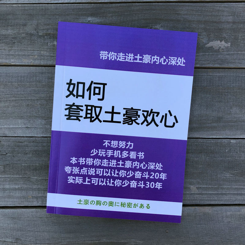 如何快速查看域名的IP地址和相关信息：全面指南-亿动网